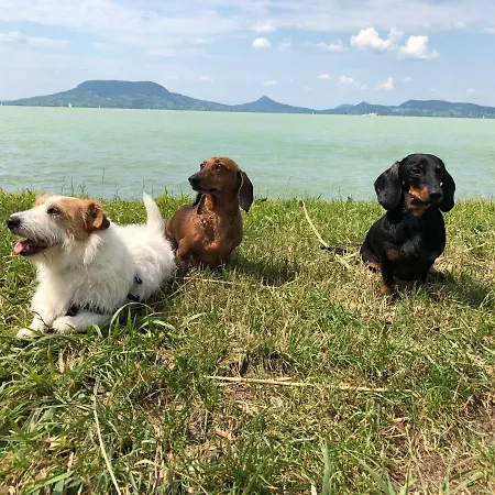 Iker Nyaralo דירה *